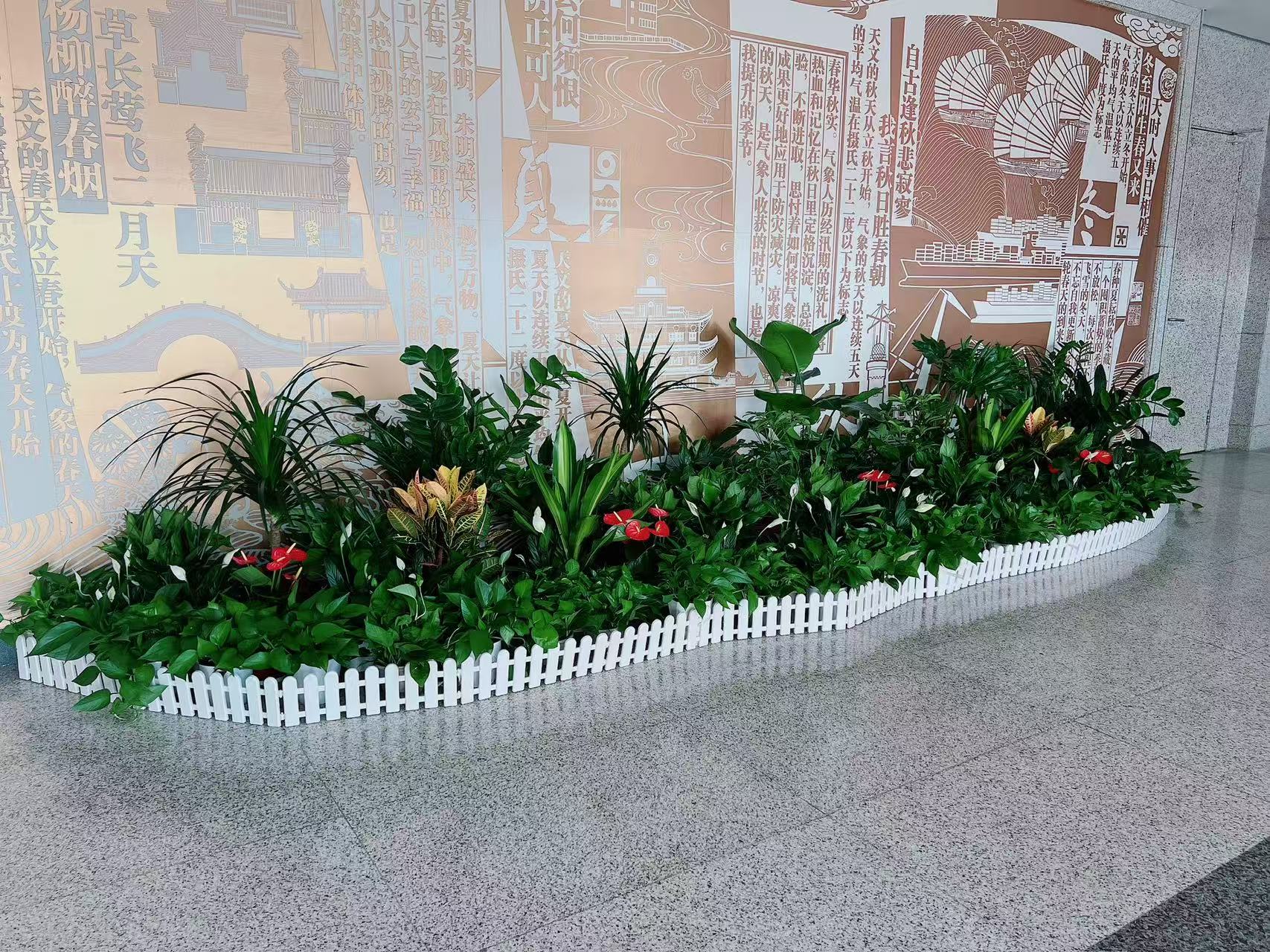 超赞！宁波余姚花卉出租，服务一流等你来享！